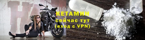 прущие грибы Вязники
