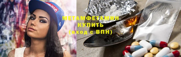 прущие грибы Вязники