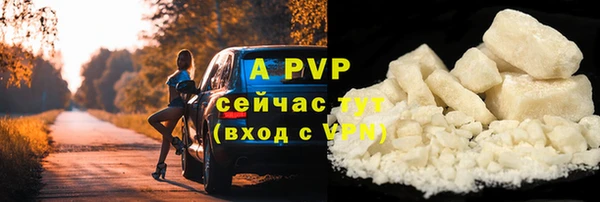прущие грибы Вязники