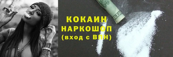прущие грибы Вязники