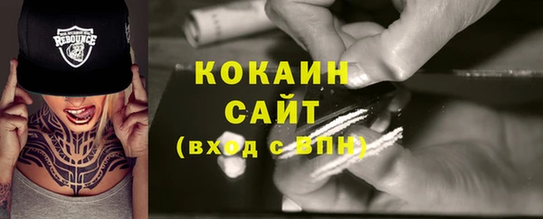 прущие грибы Вязники