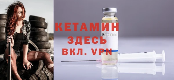 прущие грибы Вязники