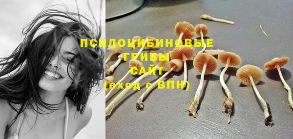 прущие крисы Вяземский