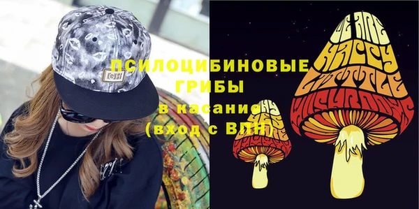прущие крисы Вяземский