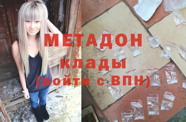 прущие грибы Вязники