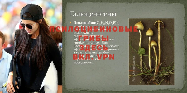 прущие крисы Вяземский