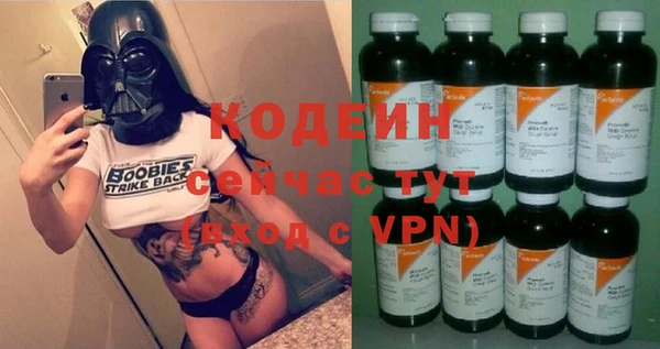 прущие грибы Вязники
