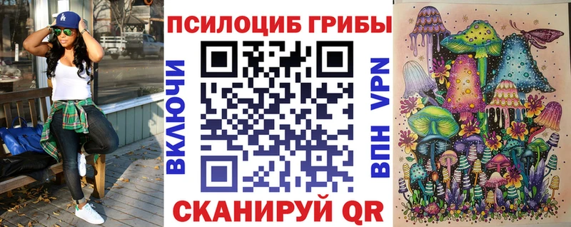 купить наркоту  Сосновый Бор  Псилоцибиновые грибы Cubensis 
